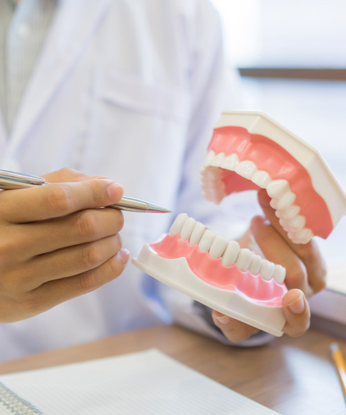 Periodontal disease treatment, or gum disease treatment, is available at our West Bloomfield, Michigan dental office. In this image, a dental professional points at a model of teeth and gums.